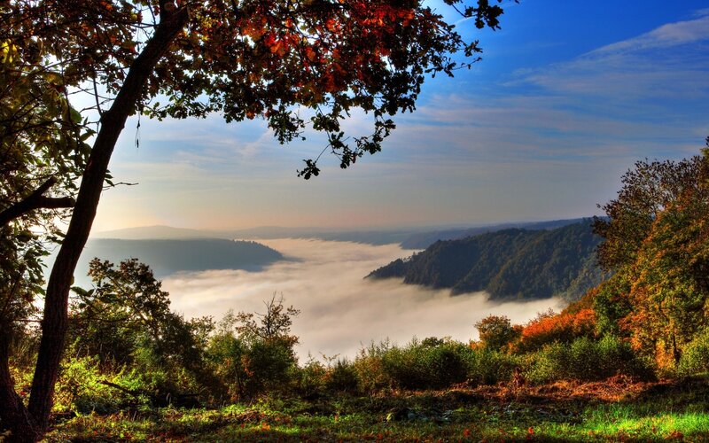 Autumn Valley with Fog — Green, Serene