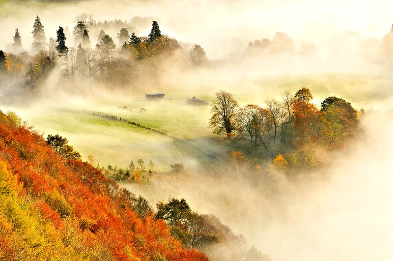 Autumn Valley with Fog — Orange
