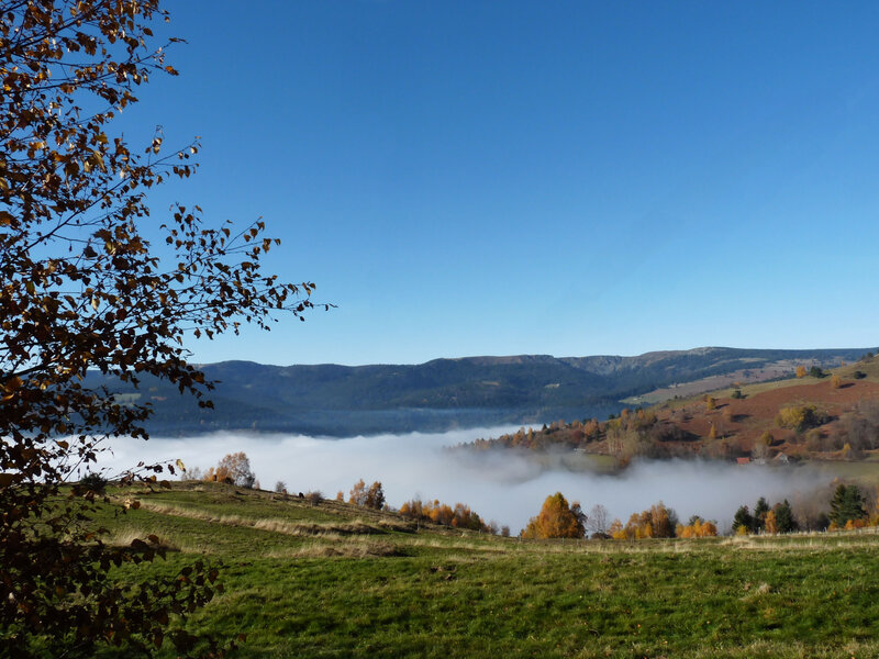 Autumn Valley with Fog
