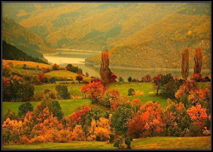Autumn valley with lake