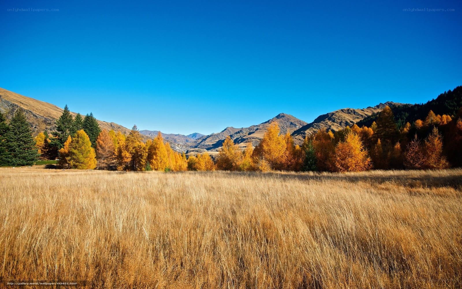 Autumn valley with mountains