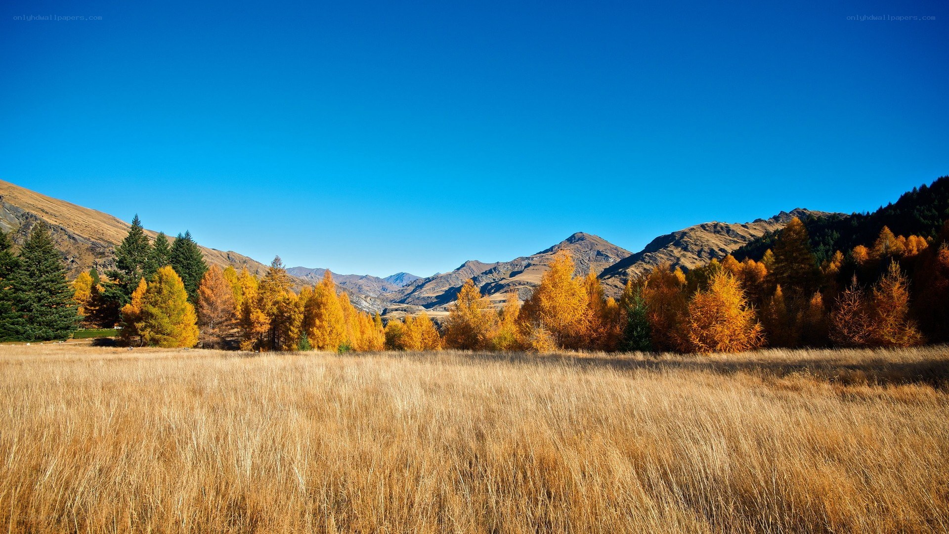 Autumn valley with mountains