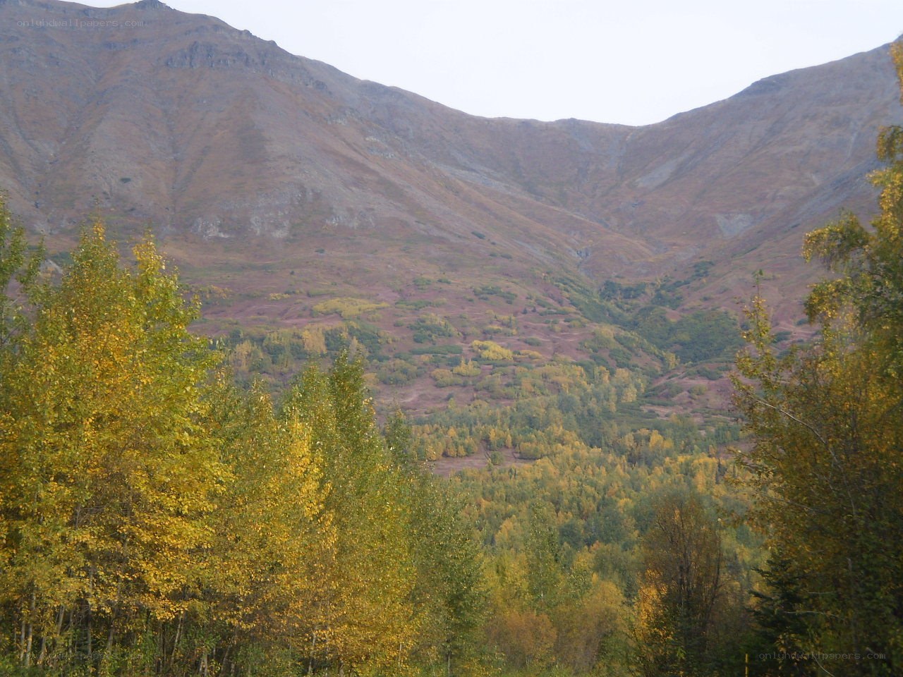 Autumn valley with mountains