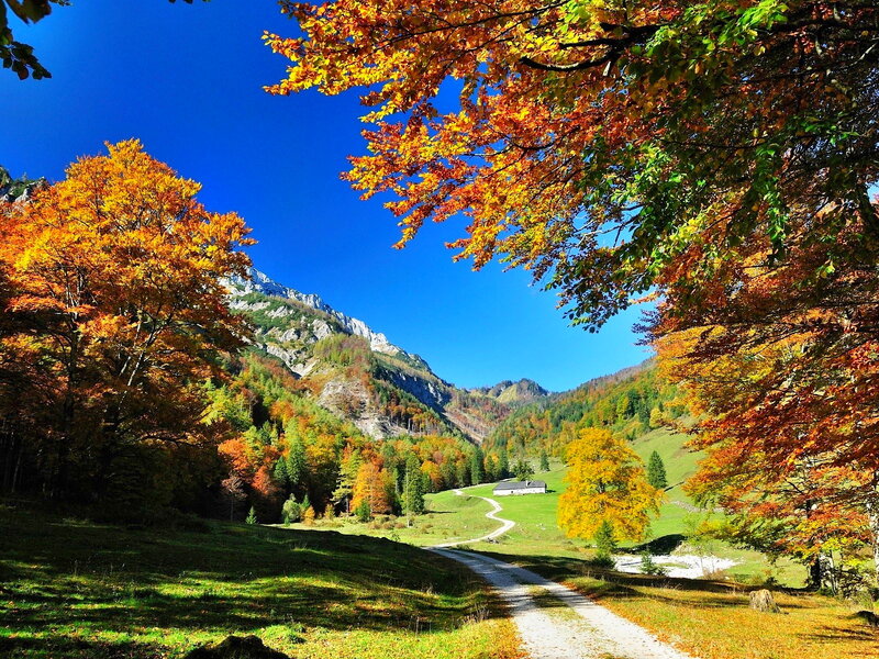 Autumn Valley with Mountains — Blue