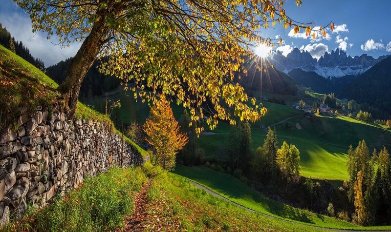 Autumn Valley with Mountains — Green, Serene