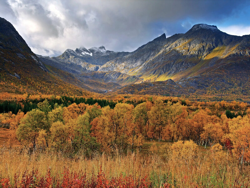 Autumn Valley with Mountains — Orange