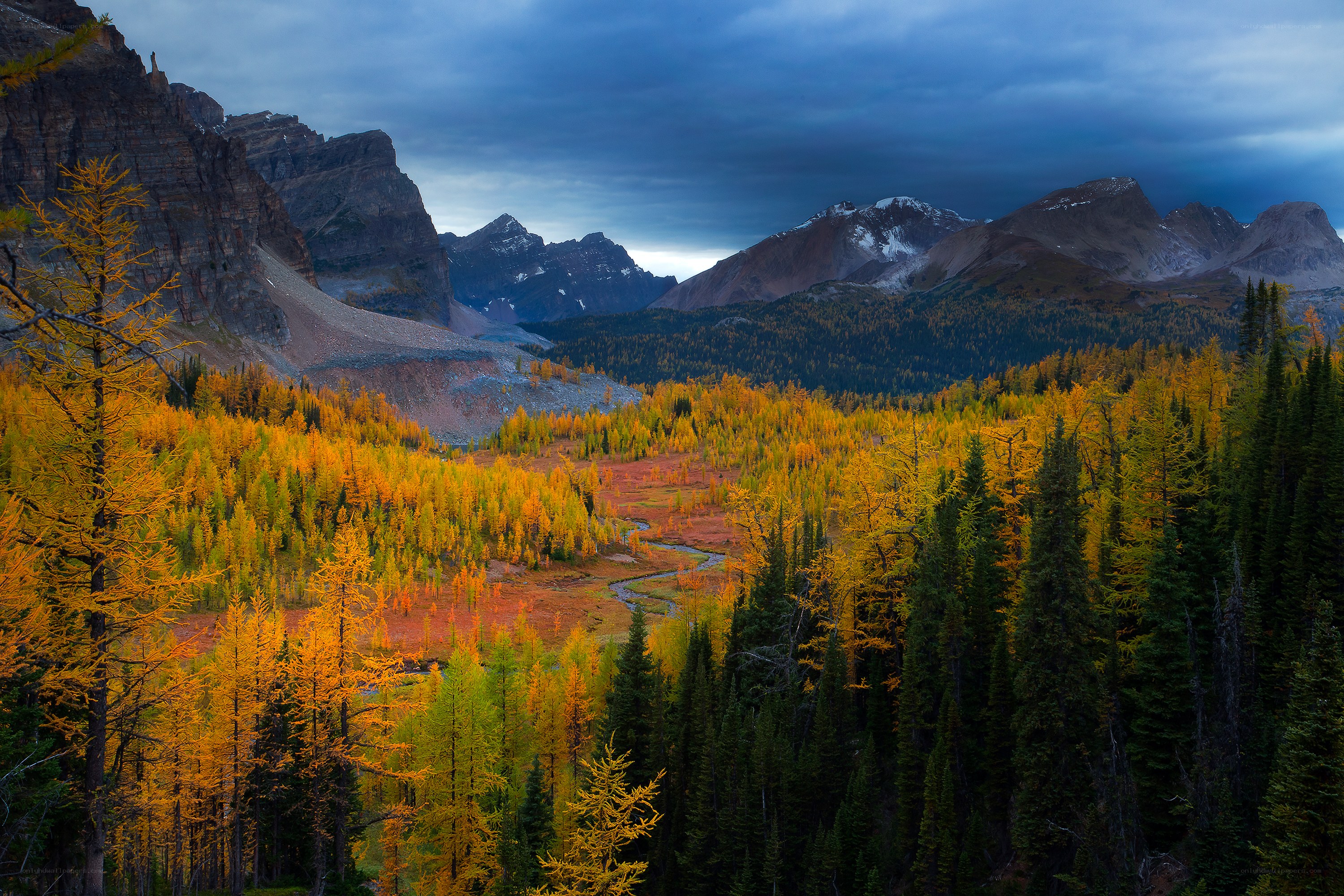 Autumn valley with mountains