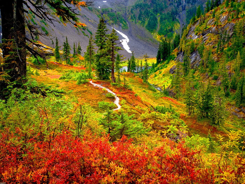 Autumn Valley with Path