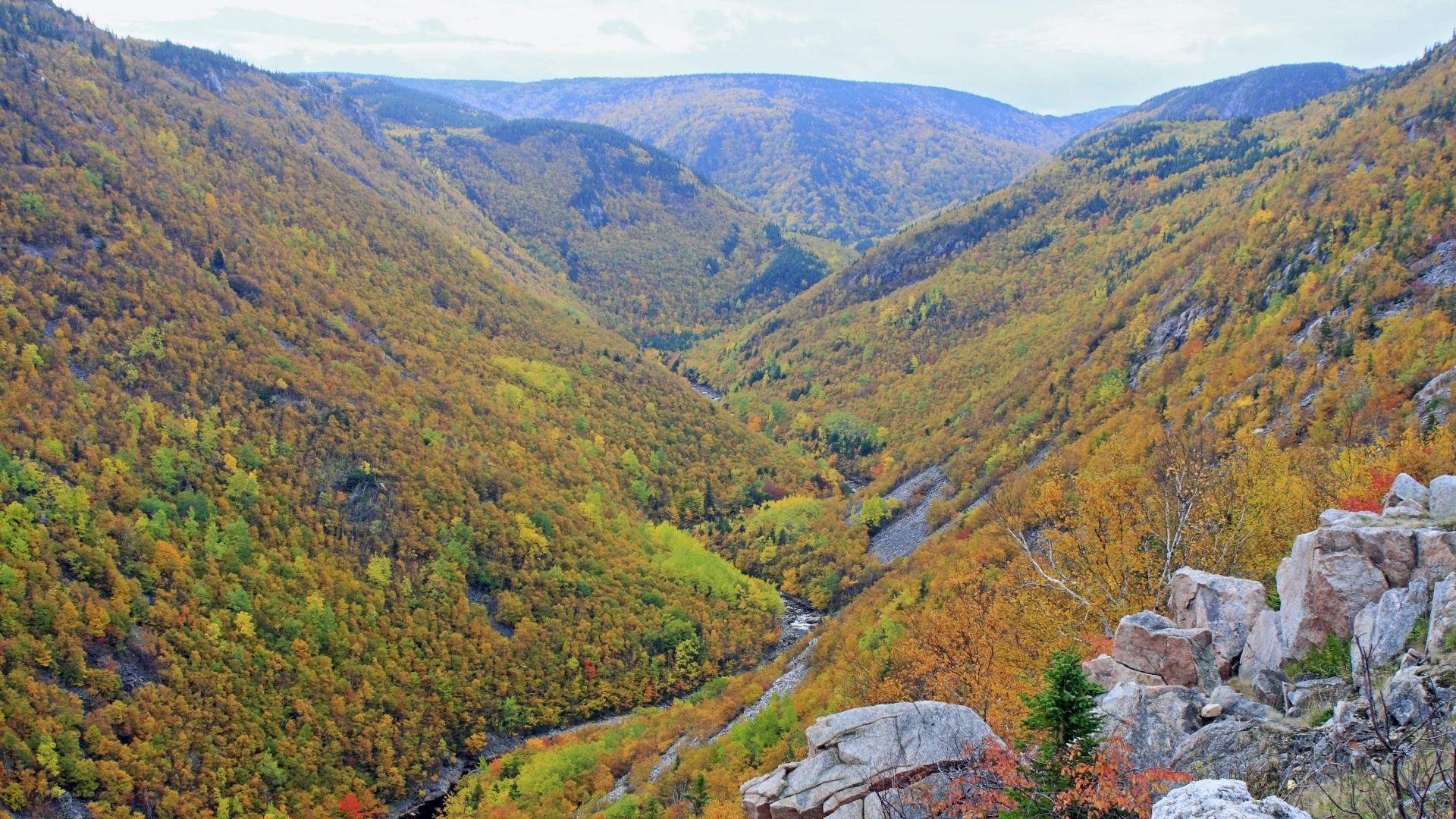 autumn valley with river