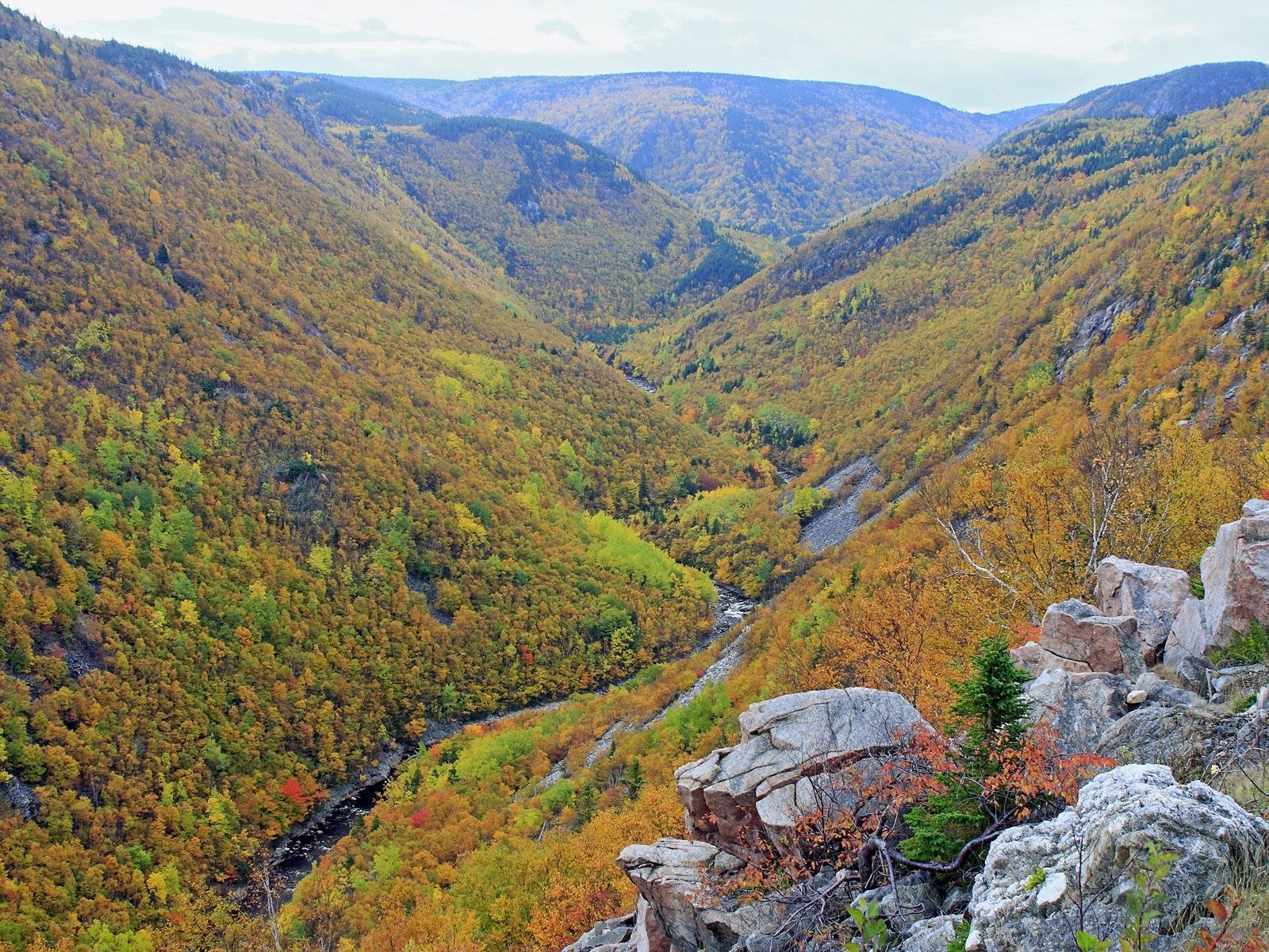 autumn valley with river