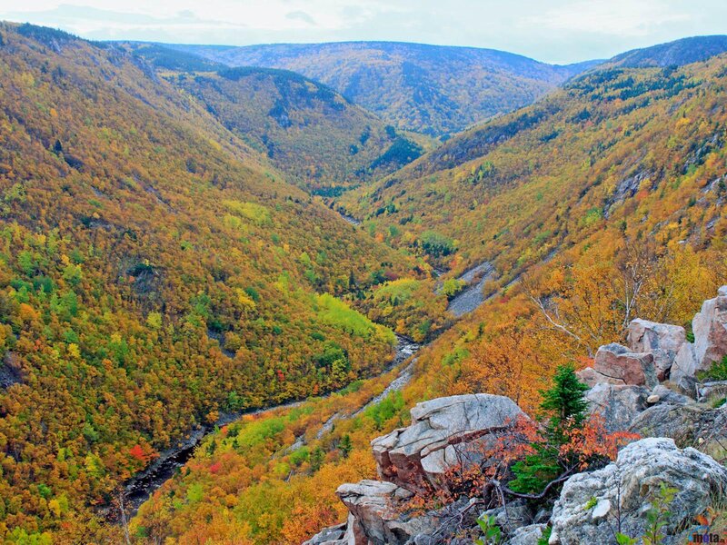 Autumn Valley with River — Orange, Serene, Photograph