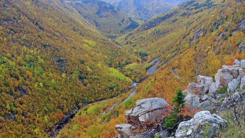 Autumn Valley with River — Yellow, Serene