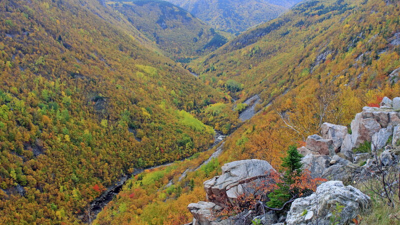 Autumn Valley with River — Yellow
