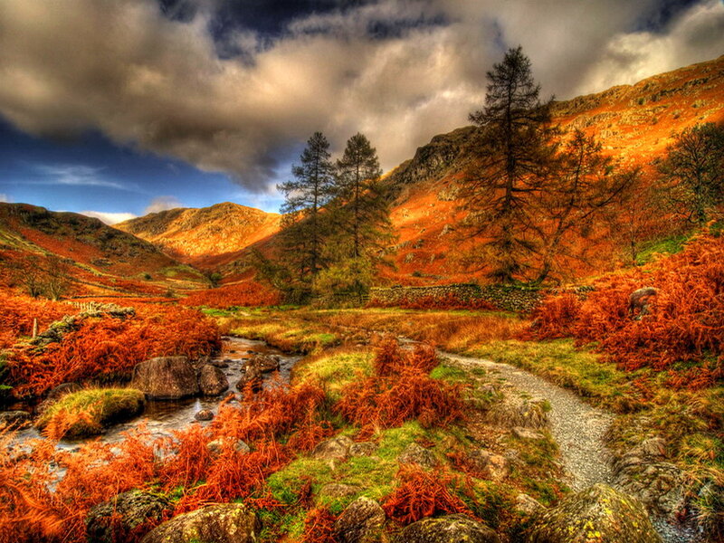 Autumn Valley with Stream