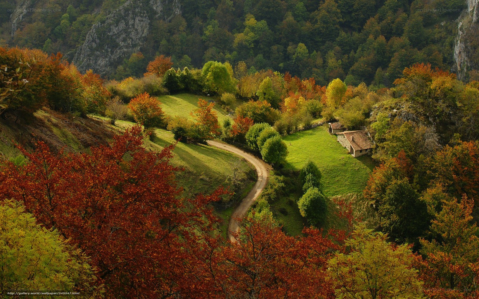Autumn valley with winding road