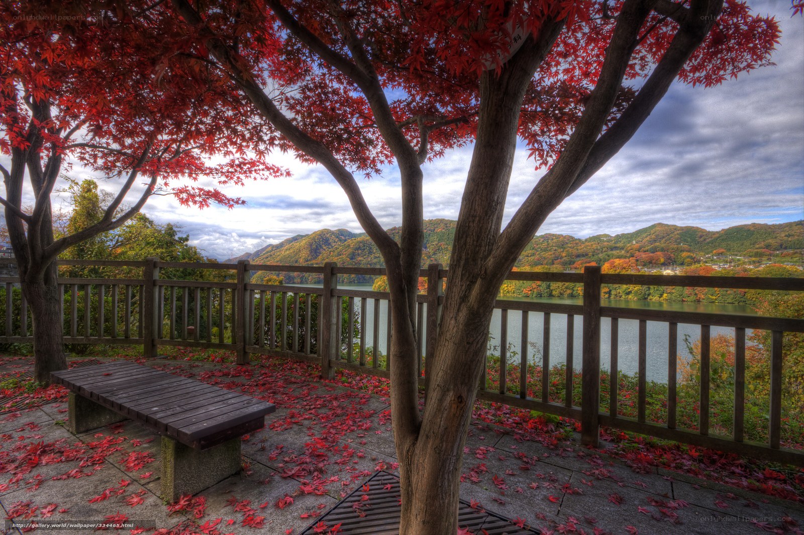 Autumn view from lakeside bench