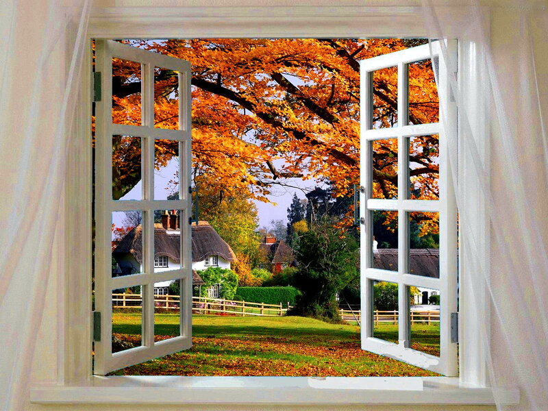Autumn View from Window — Orange