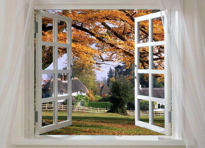 Autumn View from Window