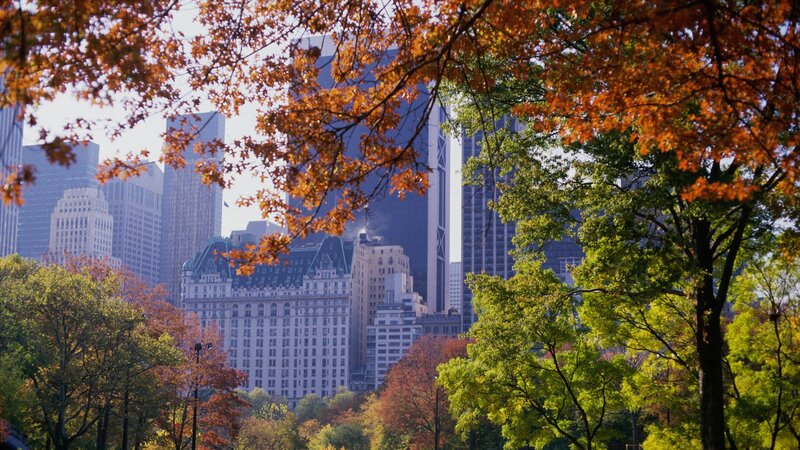 Autumn view of Central Park