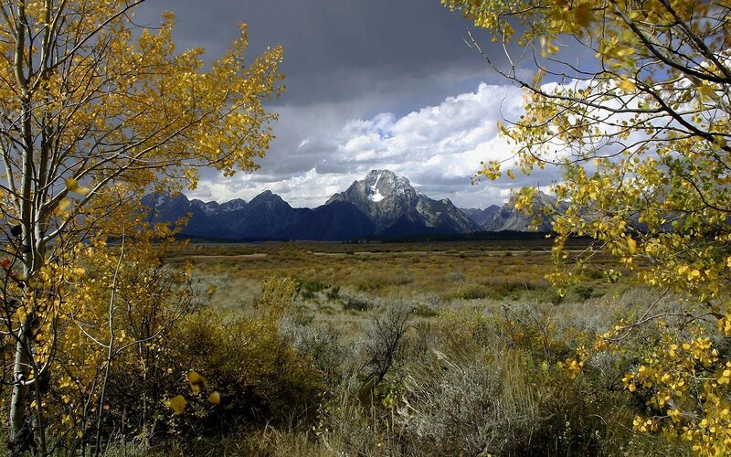 Autumn view of Grand Teton