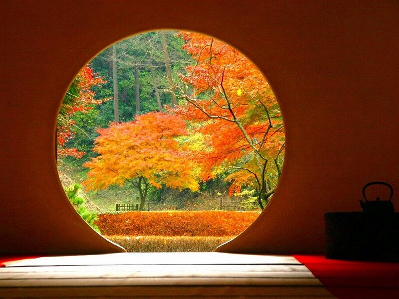 Autumn view through a circular window