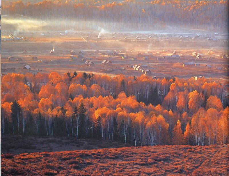 Autumn village in mist