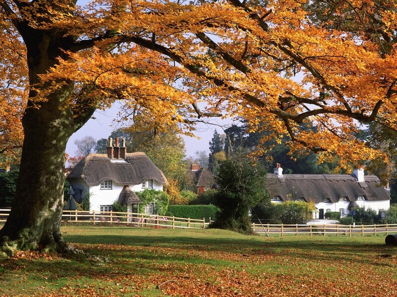 Autumn village with thatched cottages