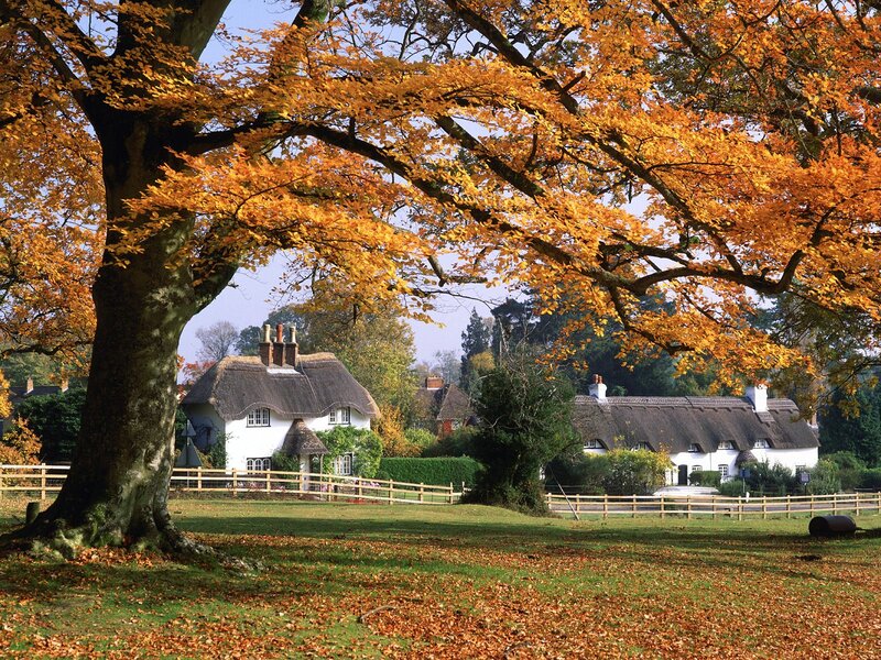 Autumn village with thatched cottages
