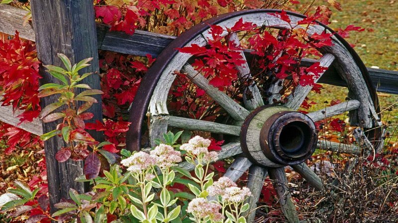 Autumn wagon wheel garden