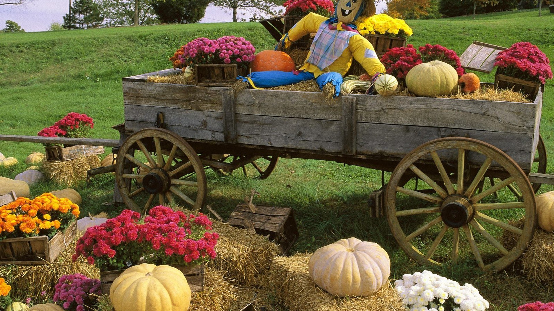 Autumn wagon with scarecrow
