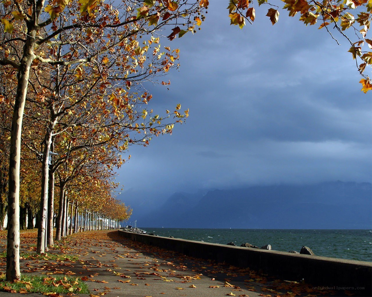 Autumn walk by the lake