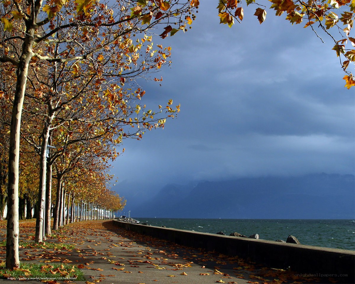 Autumn walk by the lake