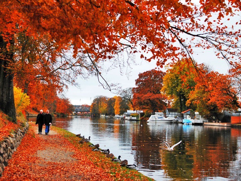 Autumn walk by the river