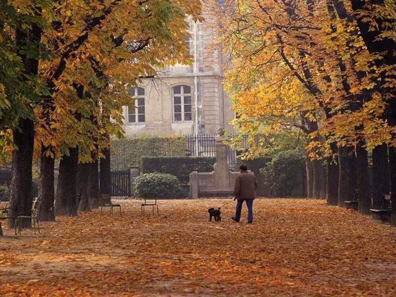 Autumn walk in a park