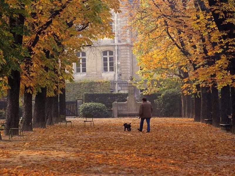 Autumn walk in a park