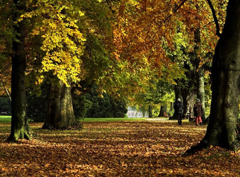 Autumn walk in the park