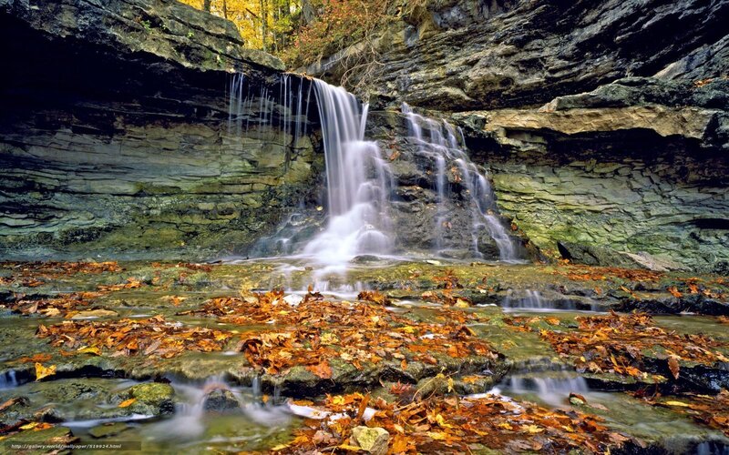 Autumn Waterfall — Brown, Serene, Photograph, Fallen Leaves