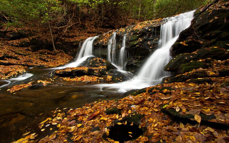 Autumn Waterfall — Brown, Serene