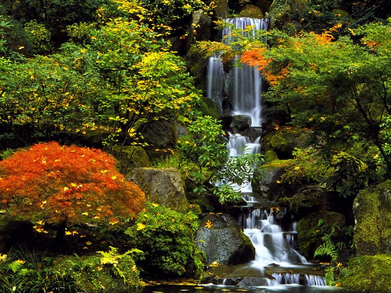 Autumn Waterfall Garden — Green