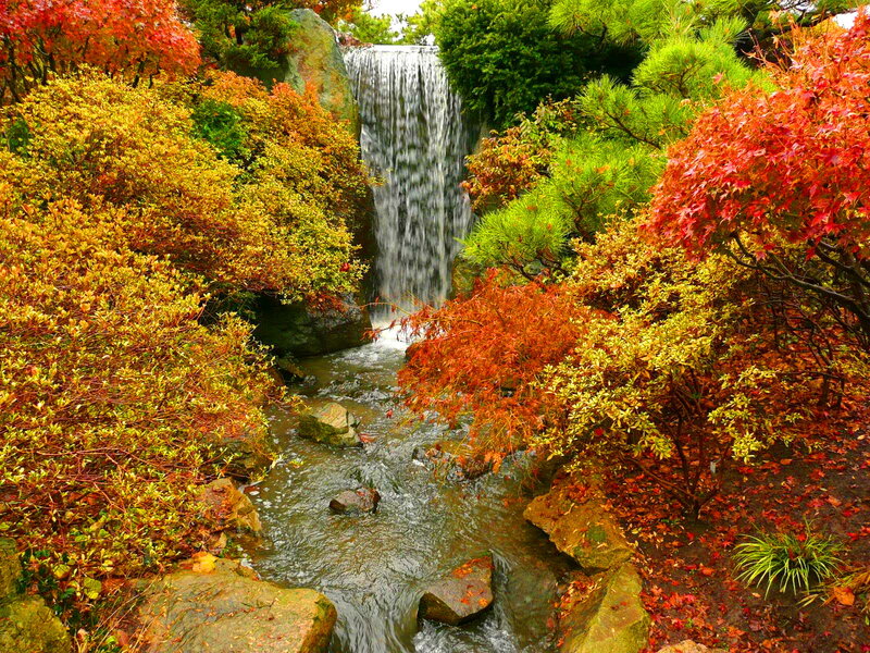 Autumn Waterfall Garden — Red, Serene, Photograph, Stream