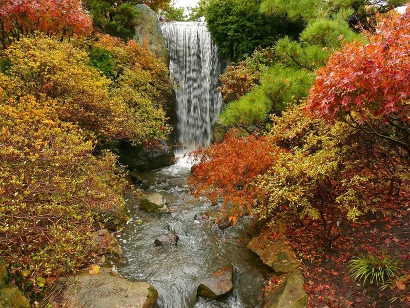 Autumn Waterfall Garden — Red, Serene, Photograph
