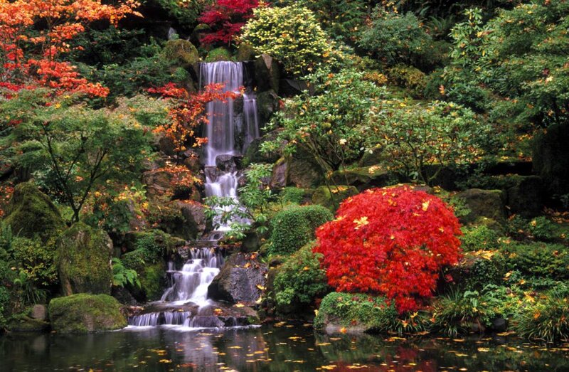 Autumn Waterfall Garden — Red, Serene, Photograph, Trees