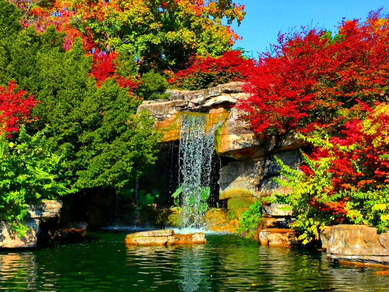 Autumn Waterfall Garden — Red, Serene