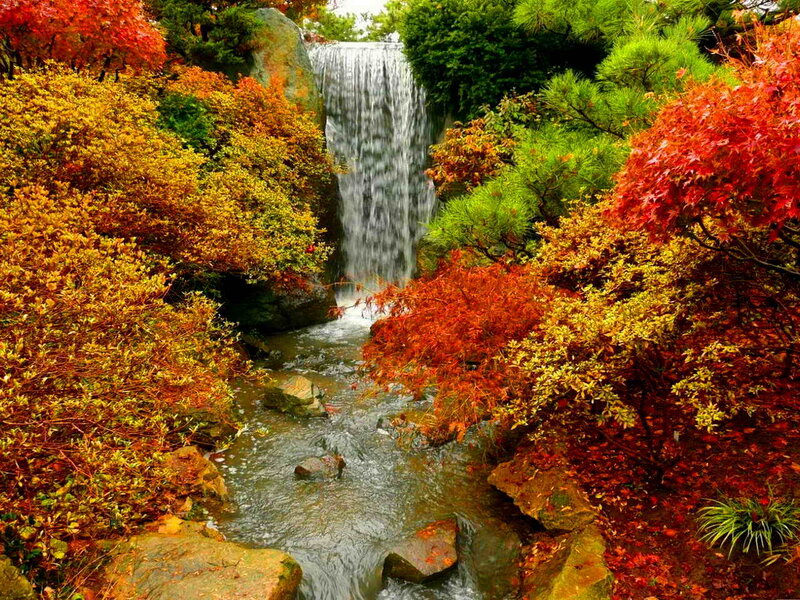 Autumn Waterfall Garden — Red