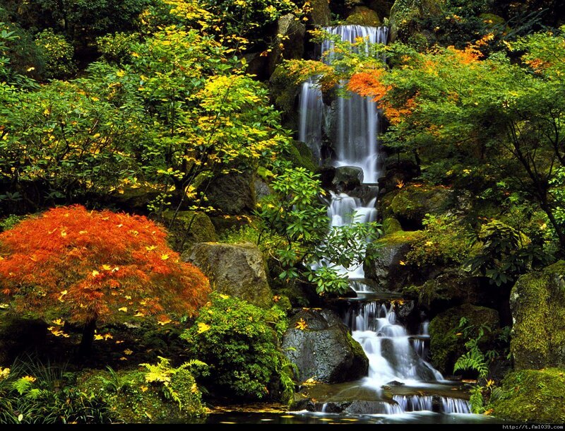 Autumn Waterfall Garden