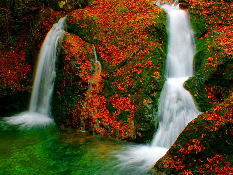 Autumn Waterfall — Green, Serene, Photograph, Leaves