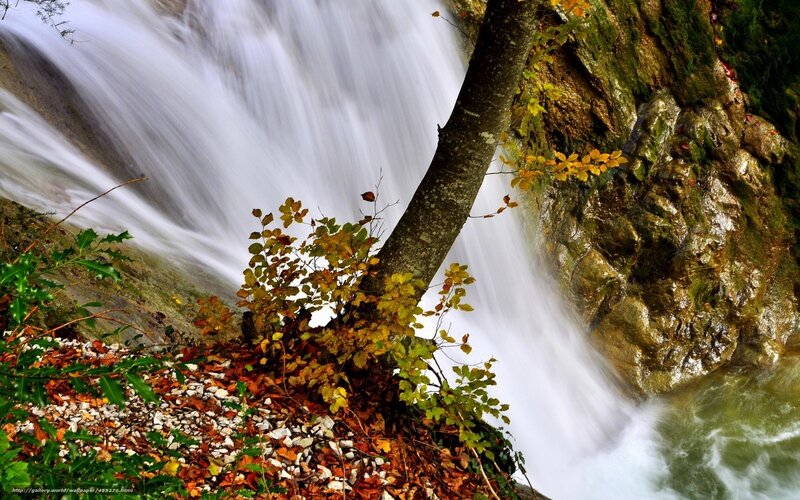 Autumn Waterfall — Green, Serene, Photograph, Tree
