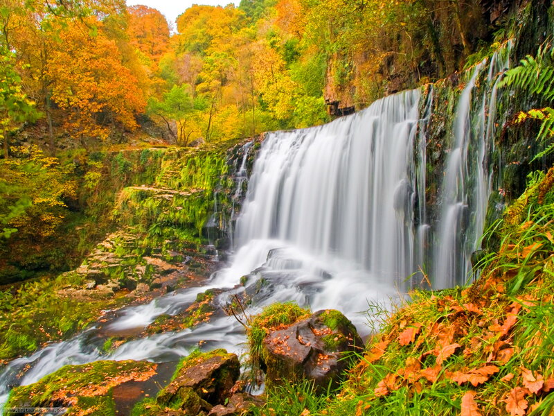Autumn Waterfall — Green, Serene, Photograph, Trees, Rocks, Moss