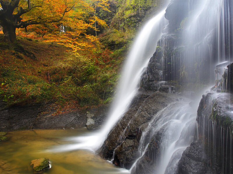 Autumn Waterfall — Green, Serene, Photograph, Trees