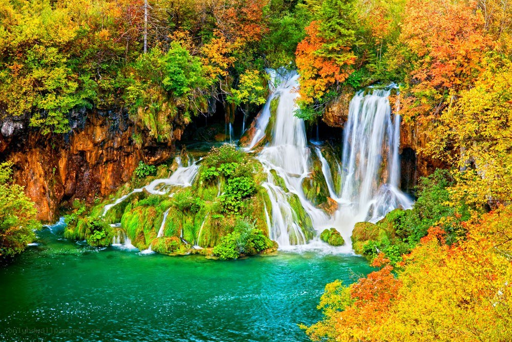 Autumn waterfall in a forest
